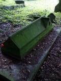 image of grave number 455463